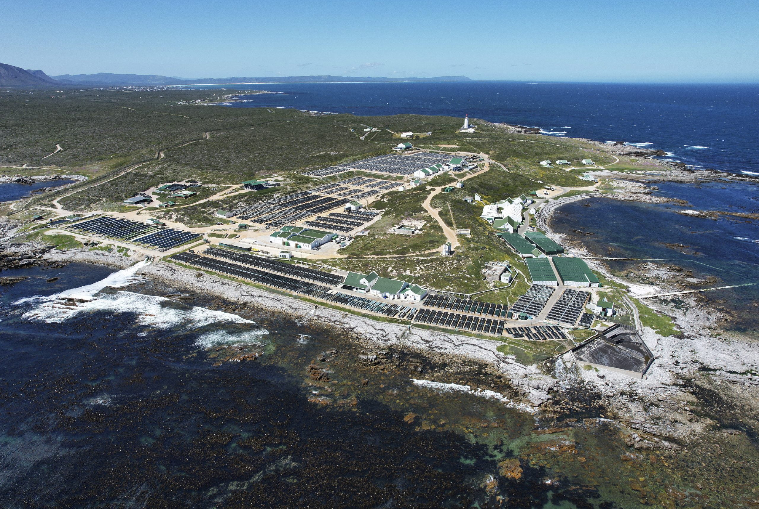 Abalone farm-01