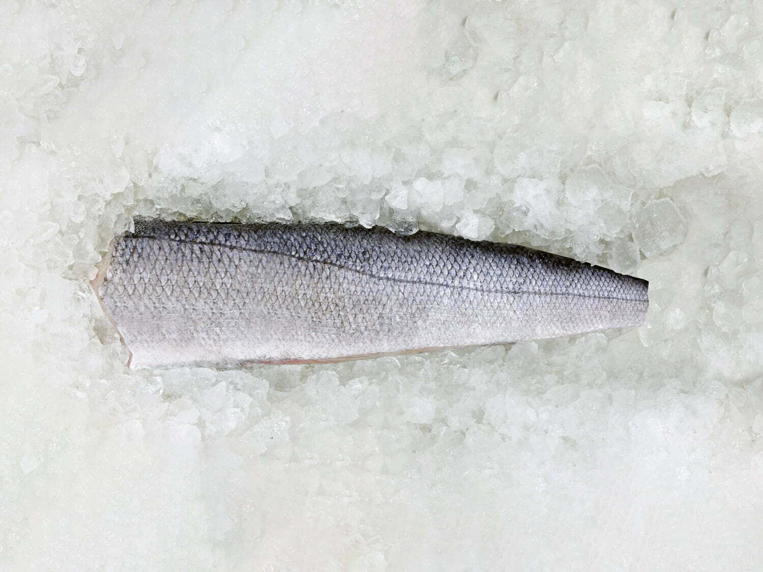 Cape-Hake-H&G-1500x1125px