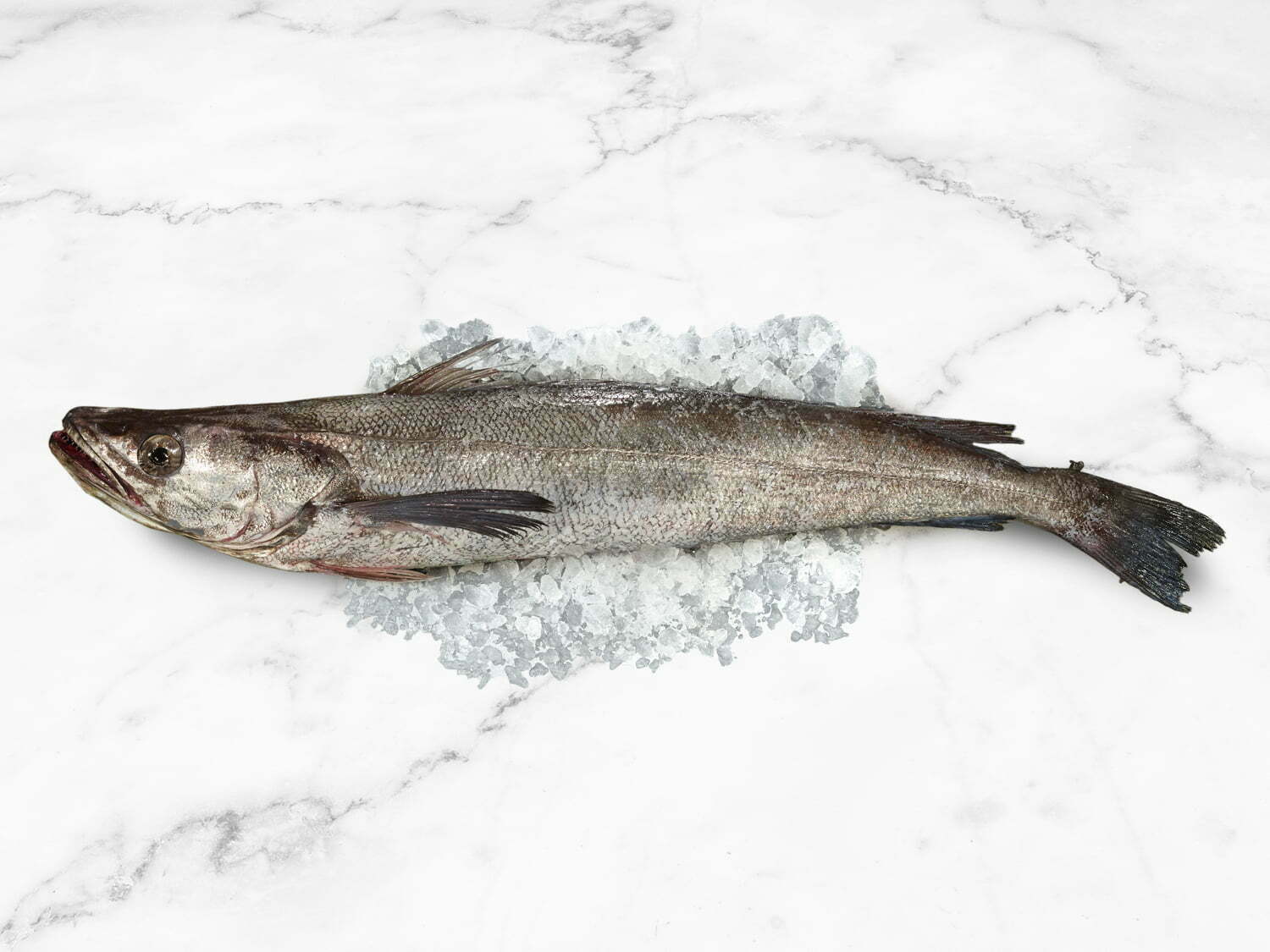 Cape-Hake-Whole-1500x1125px