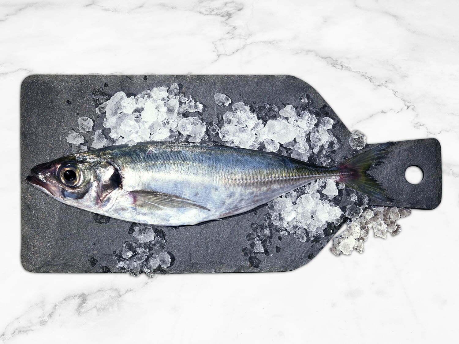 Mackerel-Whole-1500x1125px